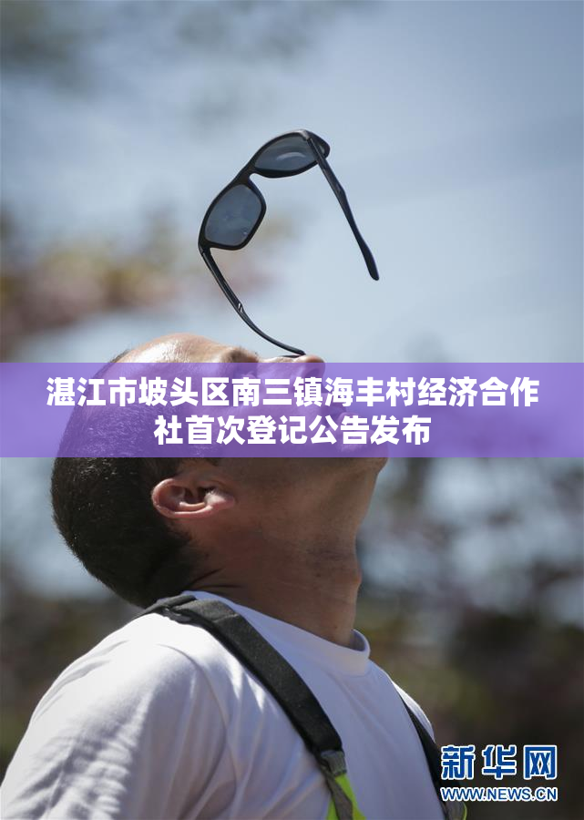 湛江市坡头区南三镇海丰村经济合作社首次登记公告发布