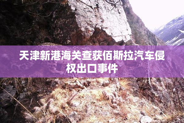 天津新港海关查获佰斯拉汽车侵权出口事件