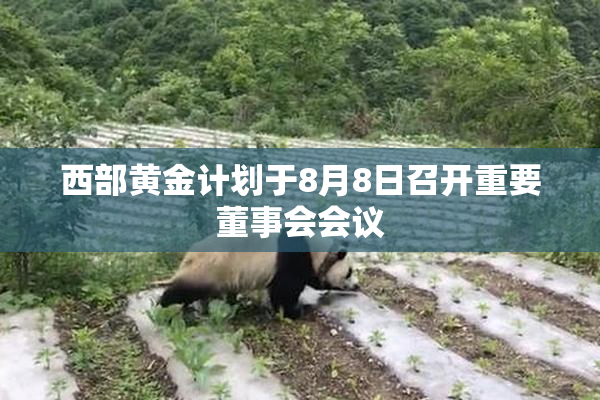 西部黄金计划于8月8日召开重要董事会会议