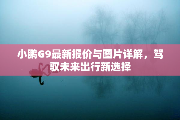 小鹏G9最新报价与图片详解，驾驭未来出行新选择