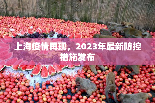 上海疫情再现，2023年最新防控措施发布
