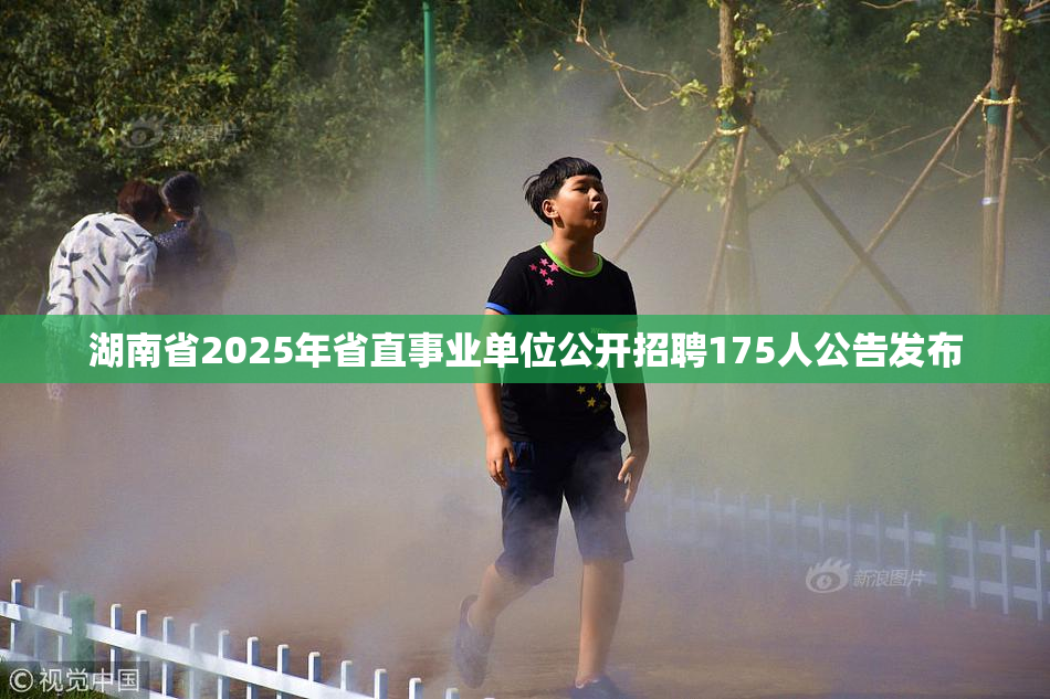 湖南省2025年省直事业单位公开招聘175人公告发布