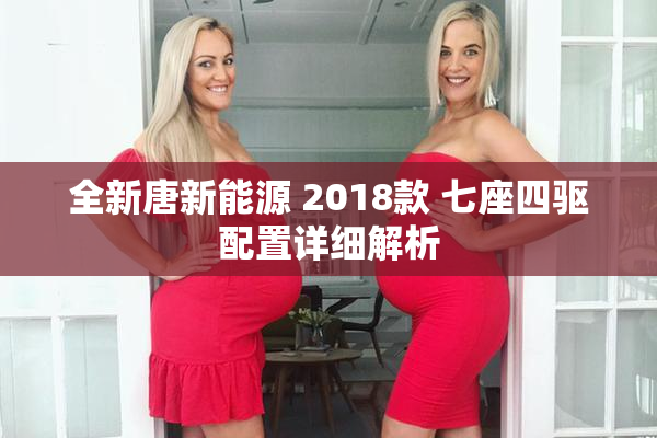 全新唐新能源 2018款 七座四驱配置详细解析