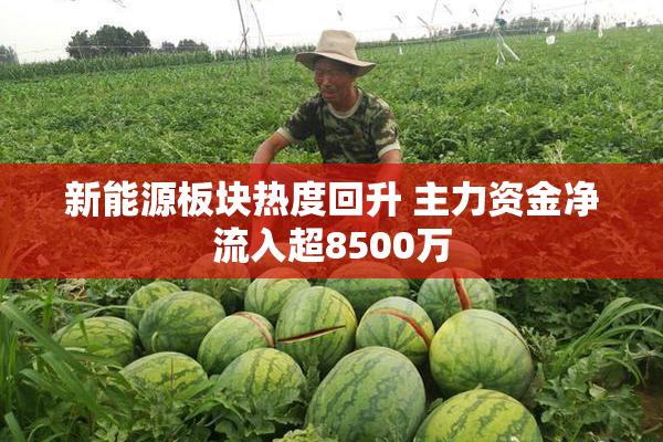 新能源板块热度回升 主力资金净流入超8500万