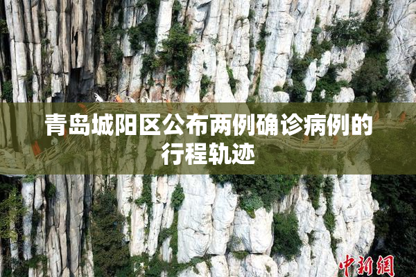 青岛城阳区公布两例确诊病例的行程轨迹