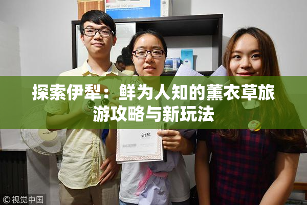 探索伊犁：鲜为人知的薰衣草旅游攻略与新玩法