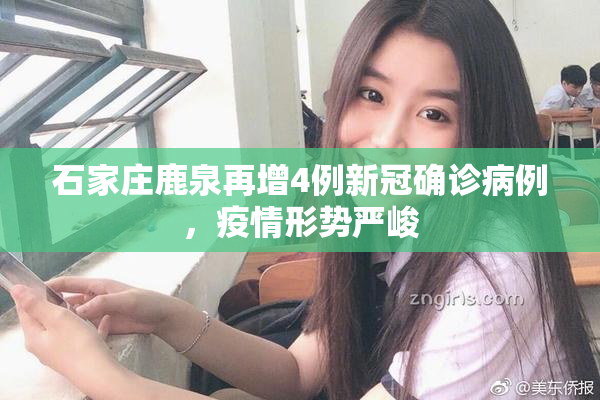 石家庄鹿泉再增4例新冠确诊病例，疫情形势严峻