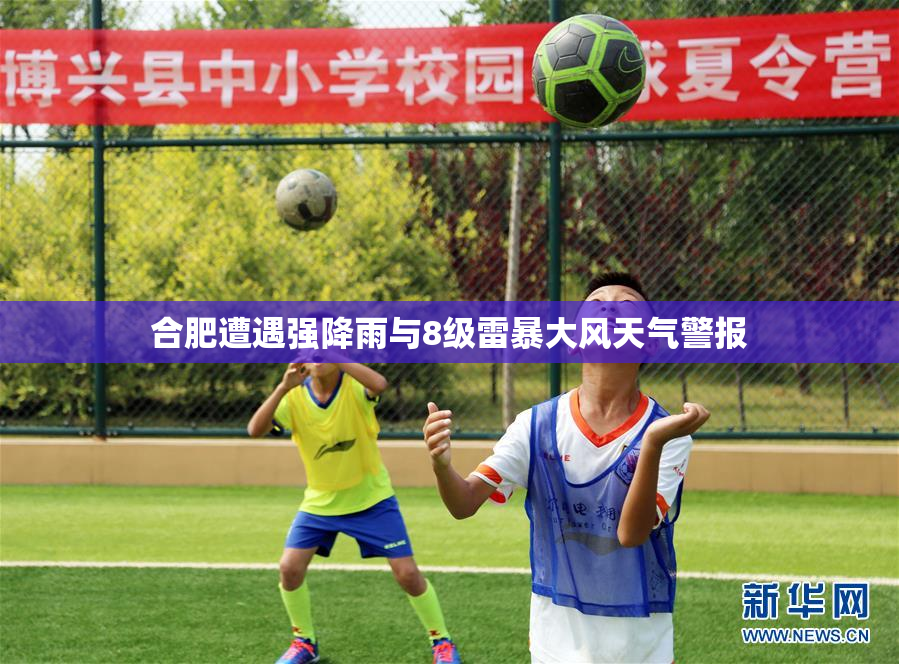 合肥遭遇强降雨与8级雷暴大风天气警报