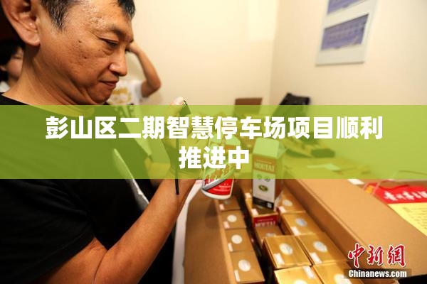 彭山区二期智慧停车场项目顺利推进中