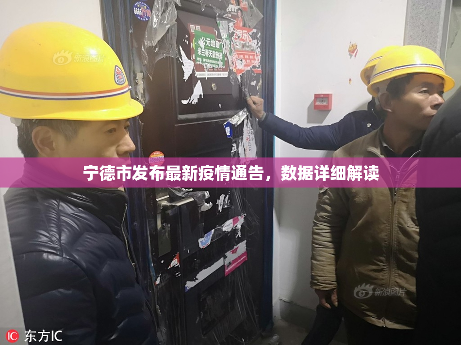宁德市发布最新疫情通告，数据详细解读