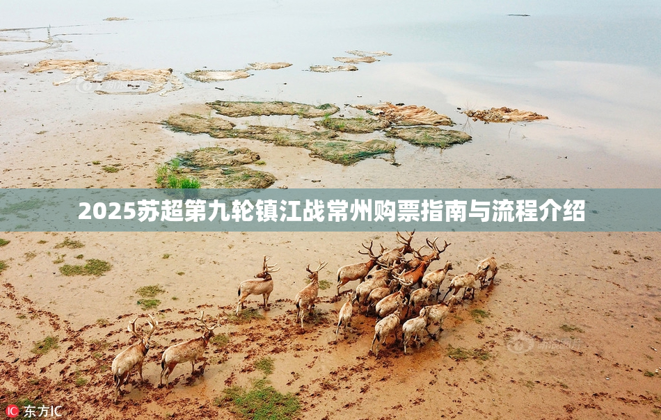 2025苏超第九轮镇江战常州购票指南与流程介绍