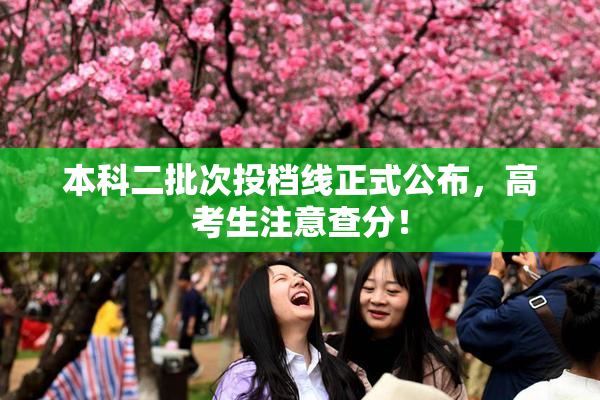 本科二批次投档线正式公布，高考生注意查分！