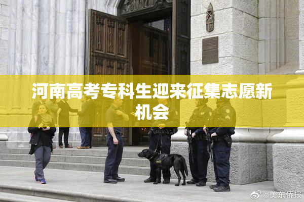 河南高考专科生迎来征集志愿新机会