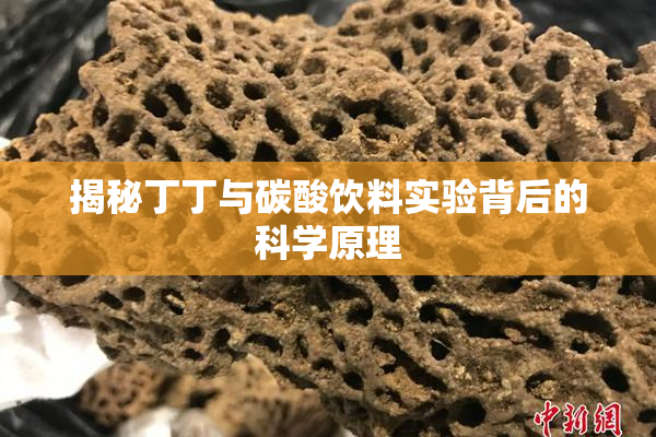 揭秘丁丁与碳酸饮料实验背后的科学原理
