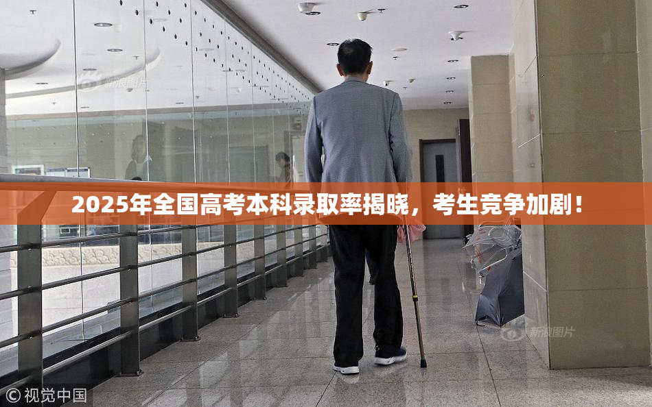 2025年全国高考本科录取率揭晓，考生竞争加剧！