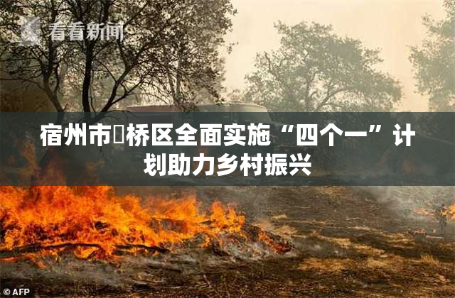 宿州市埇桥区全面实施“四个一”计划助力乡村振兴