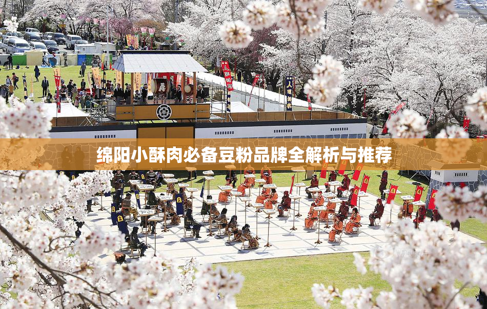 绵阳小酥肉必备豆粉品牌全解析与推荐
