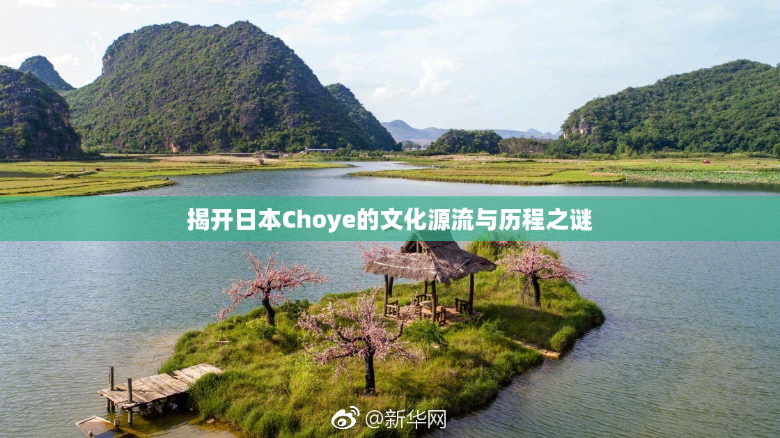 揭开日本Choye的文化源流与历程之谜