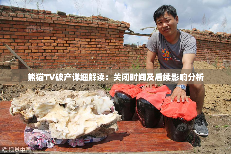 熊猫TV破产详细解读：关闭时间及后续影响分析