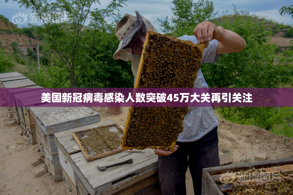 美国新冠病毒感染人数突破45万大关再引关注