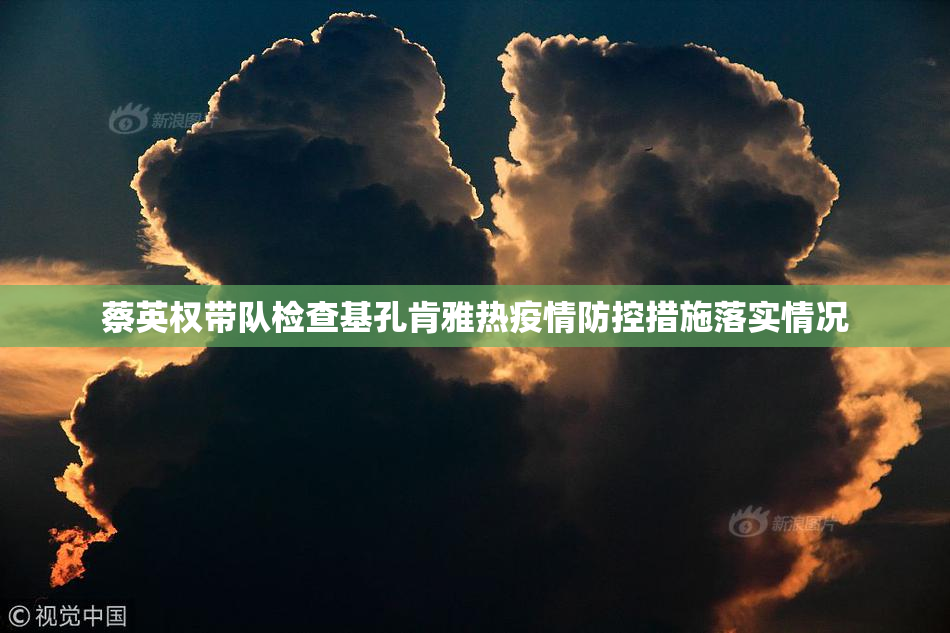 蔡英权带队检查基孔肯雅热疫情防控措施落实情况