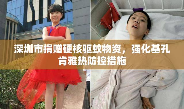 深圳市捐赠硬核驱蚊物资，强化基孔肯雅热防控措施