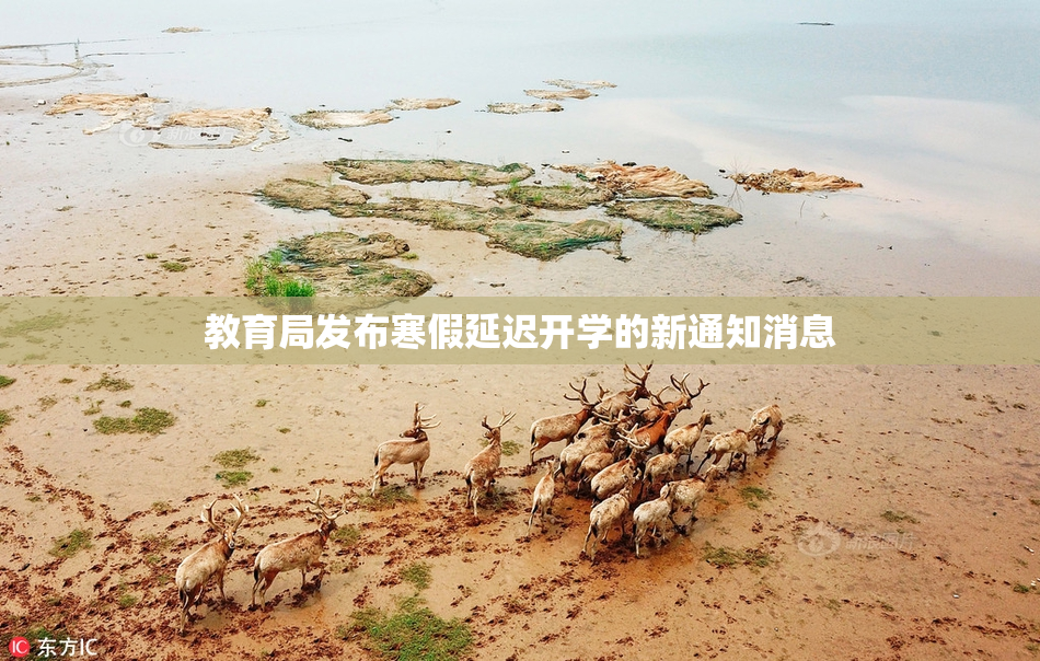 教育局发布寒假延迟开学的新通知消息