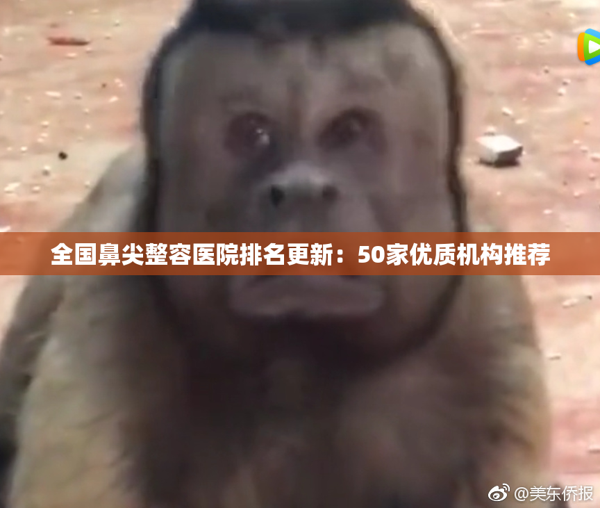 全国鼻尖整容医院排名更新：50家优质机构推荐