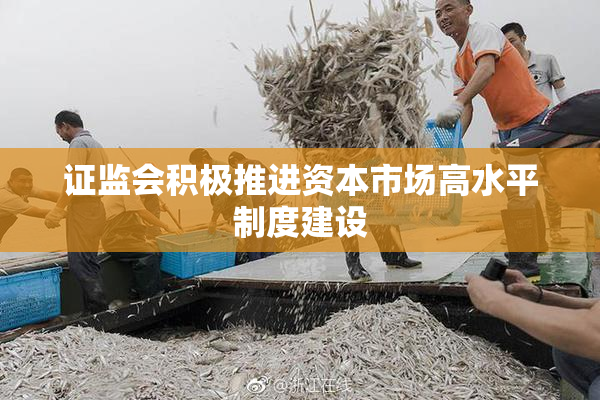 证监会积极推进资本市场高水平制度建设