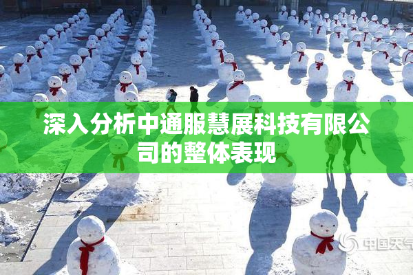 深入分析中通服慧展科技有限公司的整体表现