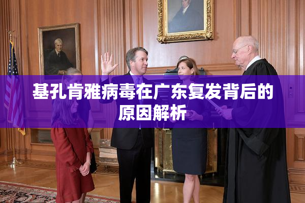 基孔肯雅病毒在广东复发背后的原因解析