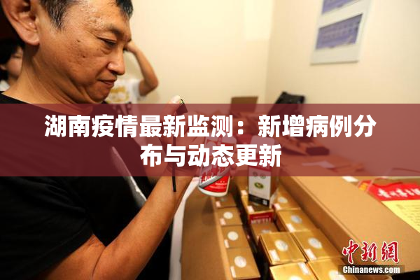 湖南疫情最新监测：新增病例分布与动态更新