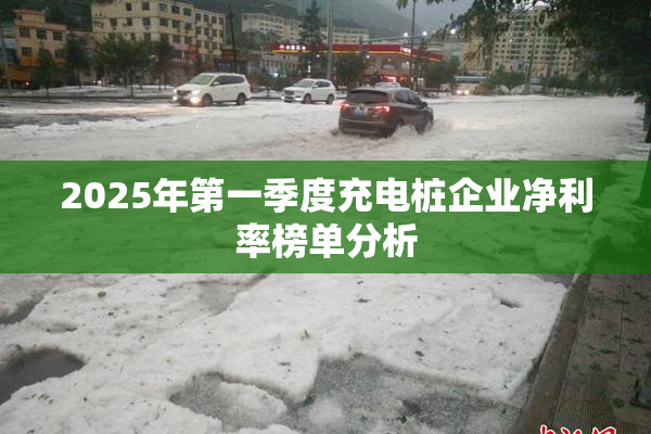 2025年第一季度充电桩企业净利率榜单分析
