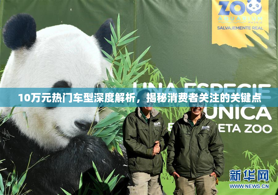 10万元热门车型深度解析，揭秘消费者关注的关键点