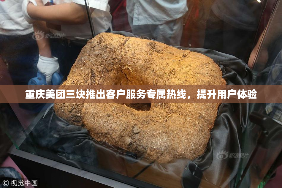 重庆美团三块推出客户服务专属热线，提升用户体验
