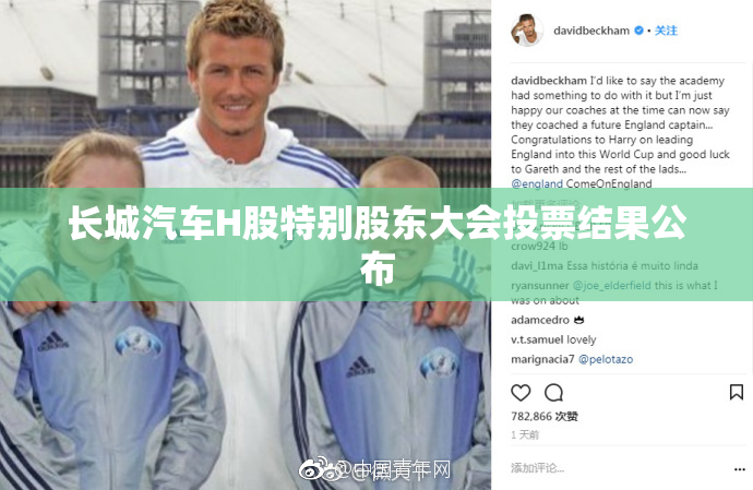 长城汽车H股特别股东大会投票结果公布