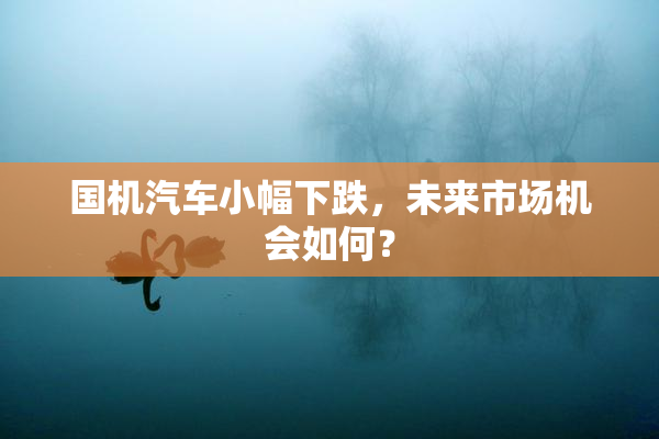 国机汽车小幅下跌，未来市场机会如何？