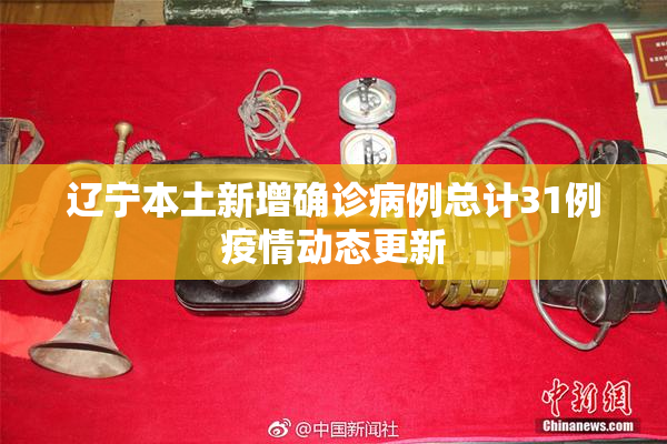 辽宁本土新增确诊病例总计31例疫情动态更新