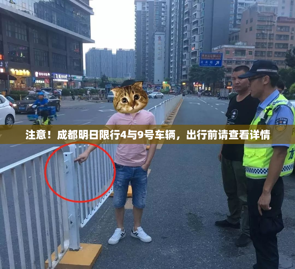 注意！成都明日限行4与9号车辆，出行前请查看详情