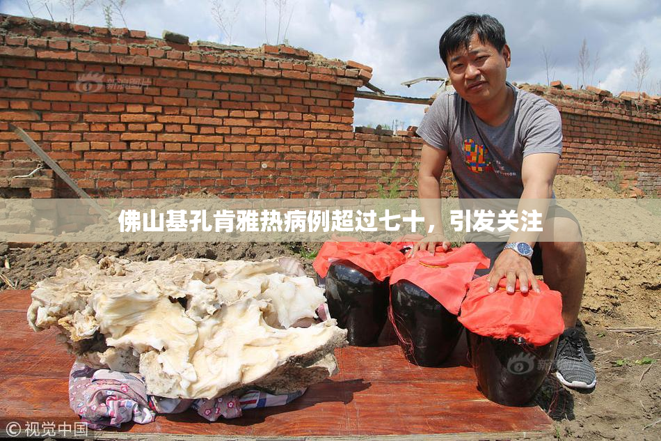 佛山基孔肯雅热病例超过七十，引发关注