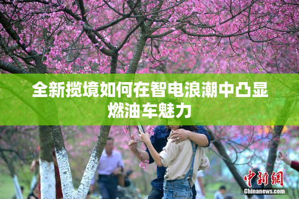 全新揽境如何在智电浪潮中凸显燃油车魅力