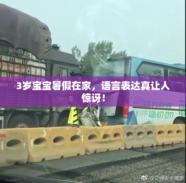 3岁宝宝暑假在家，语言表达真让人惊讶！