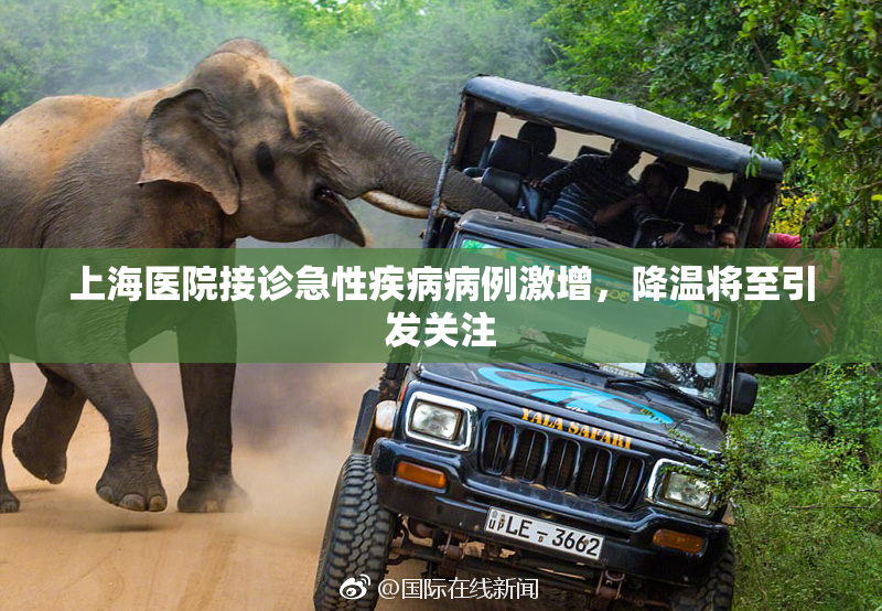 上海医院接诊急性疾病病例激增，降温将至引发关注