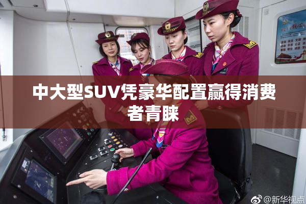 中大型SUV凭豪华配置赢得消费者青睐