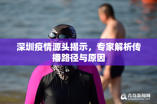 深圳疫情源头揭示，专家解析传播路径与原因