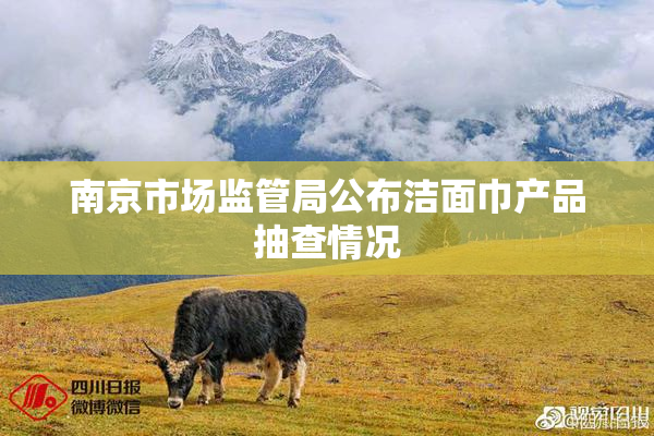 南京市场监管局公布洁面巾产品抽查情况