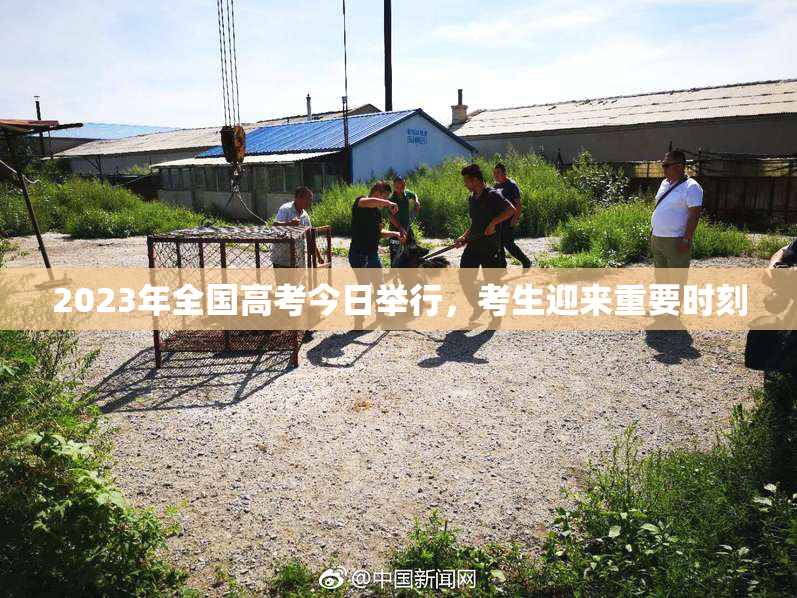 2023年全国高考今日举行，考生迎来重要时刻