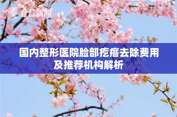 国内整形医院脸部疙瘩去除费用及推荐机构解析