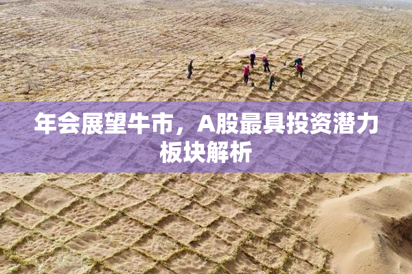 年会展望牛市，A股最具投资潜力板块解析