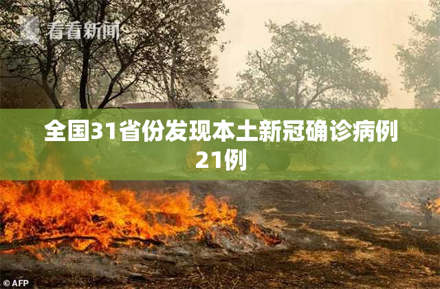 全国31省份发现本土新冠确诊病例21例